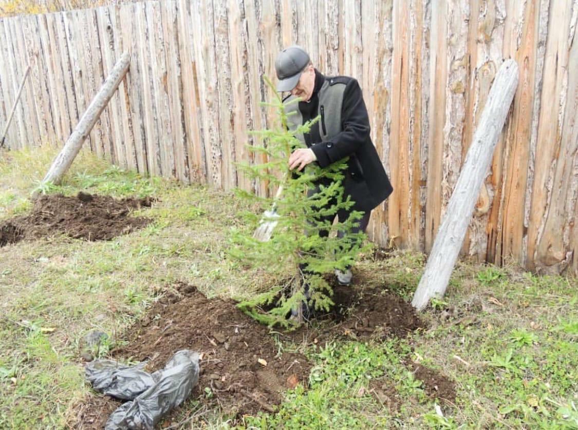 Более 400 человек приняли участие в акции «Сохраним лес» на Камчатке